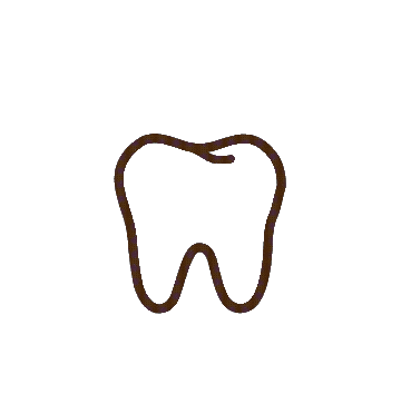 Dental Fillings / Teeth Fillings